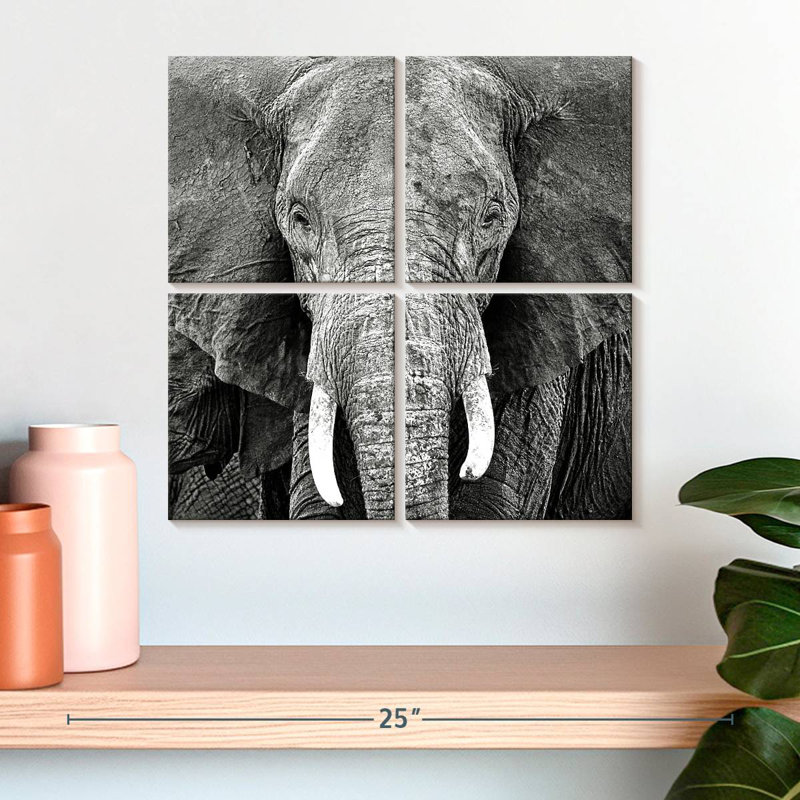 Brampt Elephant Wrinkles, 18" H x 18" W