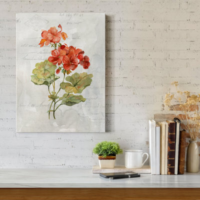 " Linen Geranium "