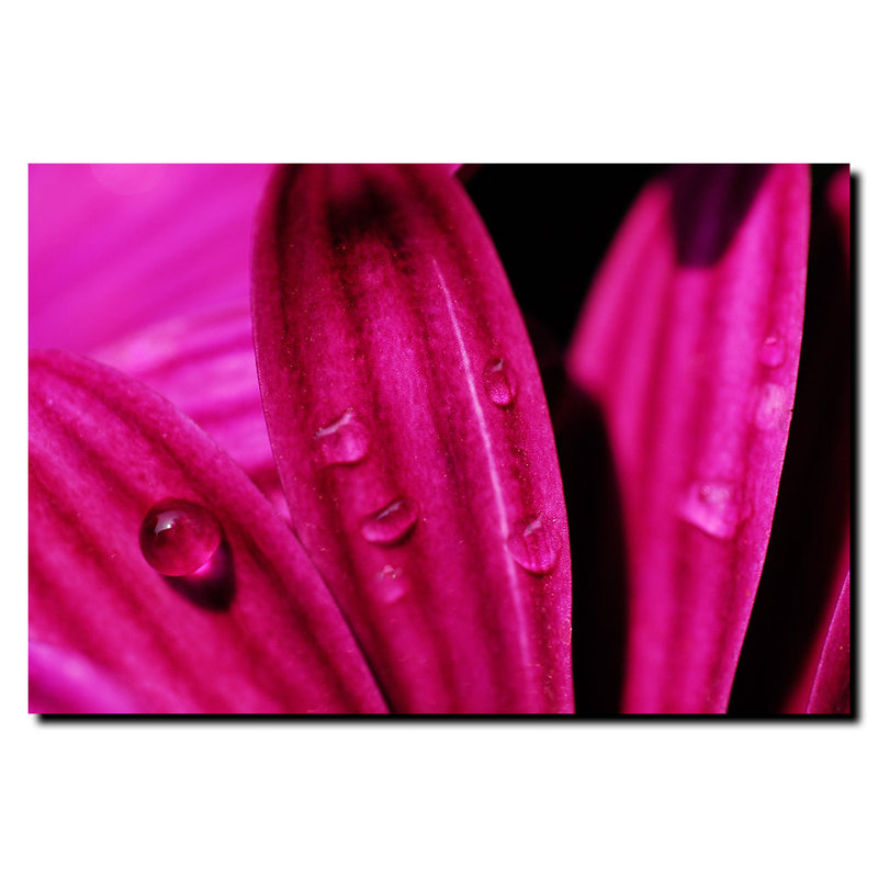 Photography, 24" H x 32" W x 2" D