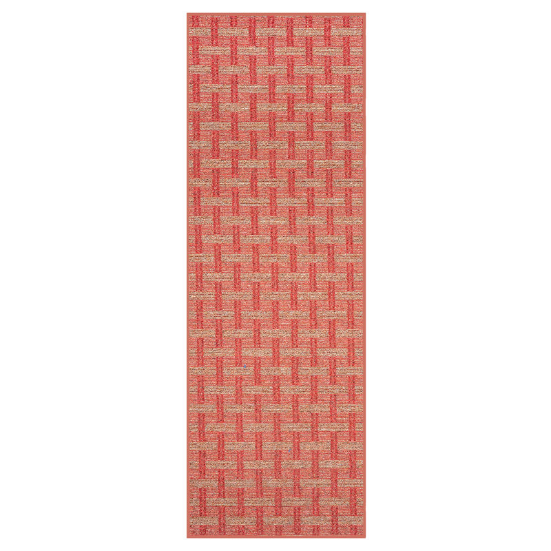 Tapis d'intérieur / extérieur Dareus, Tapis de couloir 4 pi x 36 pi