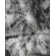 Machine Washable Felix Gray/Black Rug