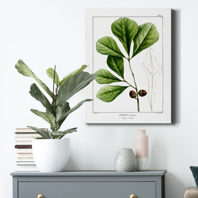 Chêne blanc - impression sur toile tendue, H 36 po x l 24 po