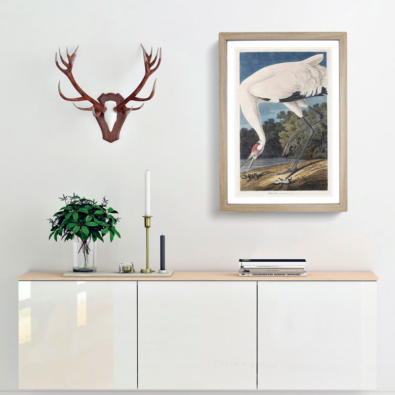 Hooping Crane Bird by John Audubon - Picture Frame Painting Print, 65cm H x 48cm W x 2cm D, Oak Framed