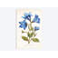 « blue impression », impression sur toile-31496140-73278889-73278884