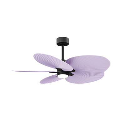 Alessandra - Five Blade Ceiling Fan - Integrated LED