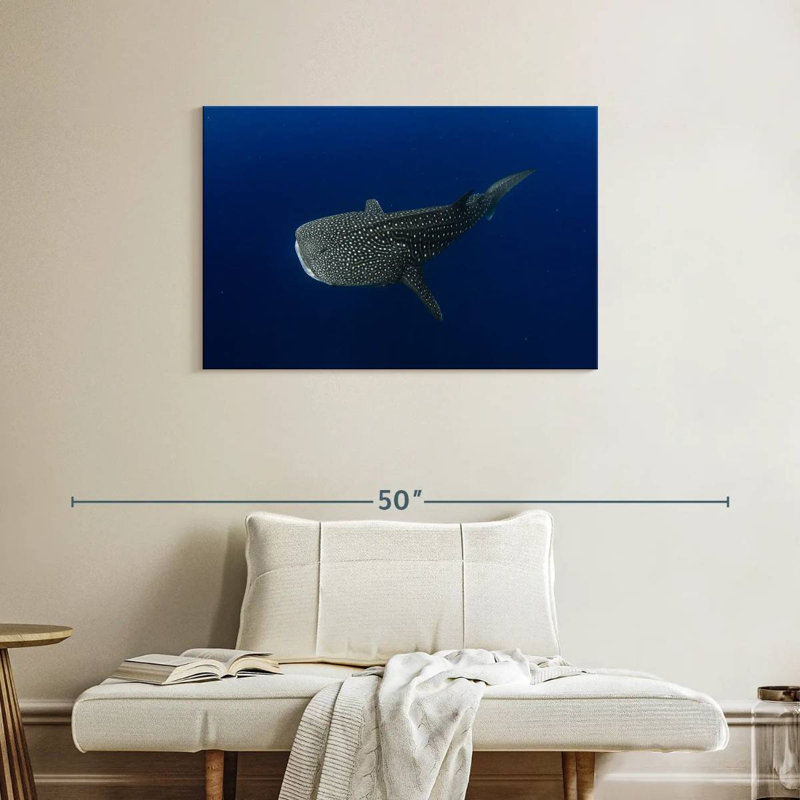 Brampt Whale Shark In Deep Blue Water, 24" H x 36" W