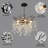 Black Branch Crystal Chandelier