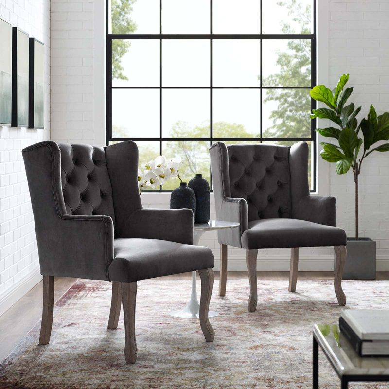 Realm Armchair Performance Velvet Set Of 2 In Grey