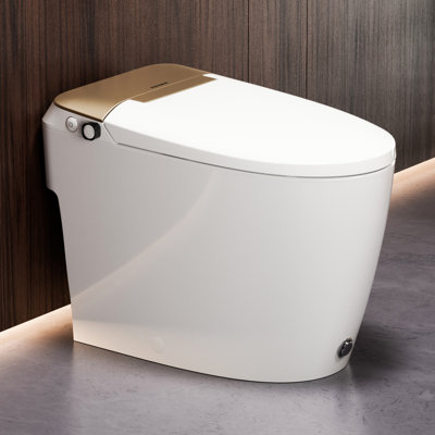 Non-Electric Bidet Toilet, MAP 1000g Powerful Flush Smart Toilet with Lady/Rear Wash, Foot-kick Flush, ADA Comfort Seat Height (Power Free)