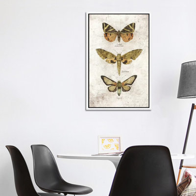 Butterflies VI by Mike Koubou - Print on Canvas