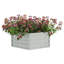 Amber-May Garden Bed-707875963
