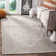 Spaulding Cotton Oriental Rug