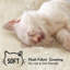Tour à chat à 5 niveaux pour chats d'intérieur