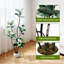 Plant-1426937627