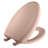Elongated Toilet Seat and Lid-17383526
