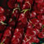 Tapisserie murale «Fruit groseille»-133642525