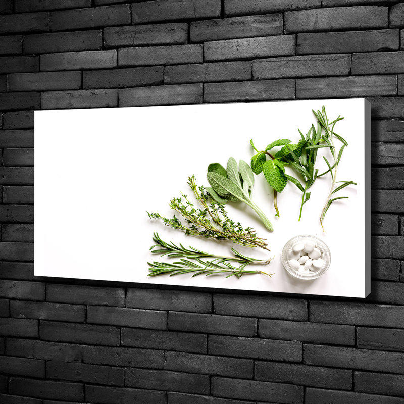 Herbs - No Frame Print on Canvas, 50cm H X 100cm W