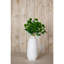 Anastasija Arrangement-977907088