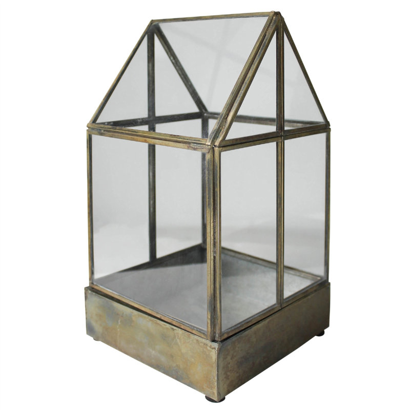 Terrarium en verre Keyjuan, H 2 po x l 6 po x P 6 po