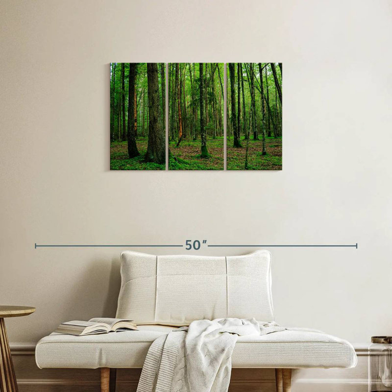 Forêt Alvord Lush Bialowieza, H 20 po x l 33 po