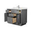 Beckett TK 42'' W Vanity-1202417574-1202417572