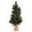 Vickerman Spruce Sapling Artificial Christmas Tree 19' H Artificial Fir Christmas Tree