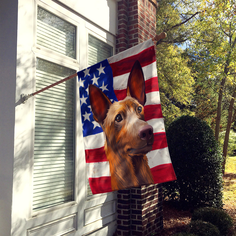 Double Sided 40'' H x 28'' W Polyester Independence Day House Flag, Pharaoh Hound