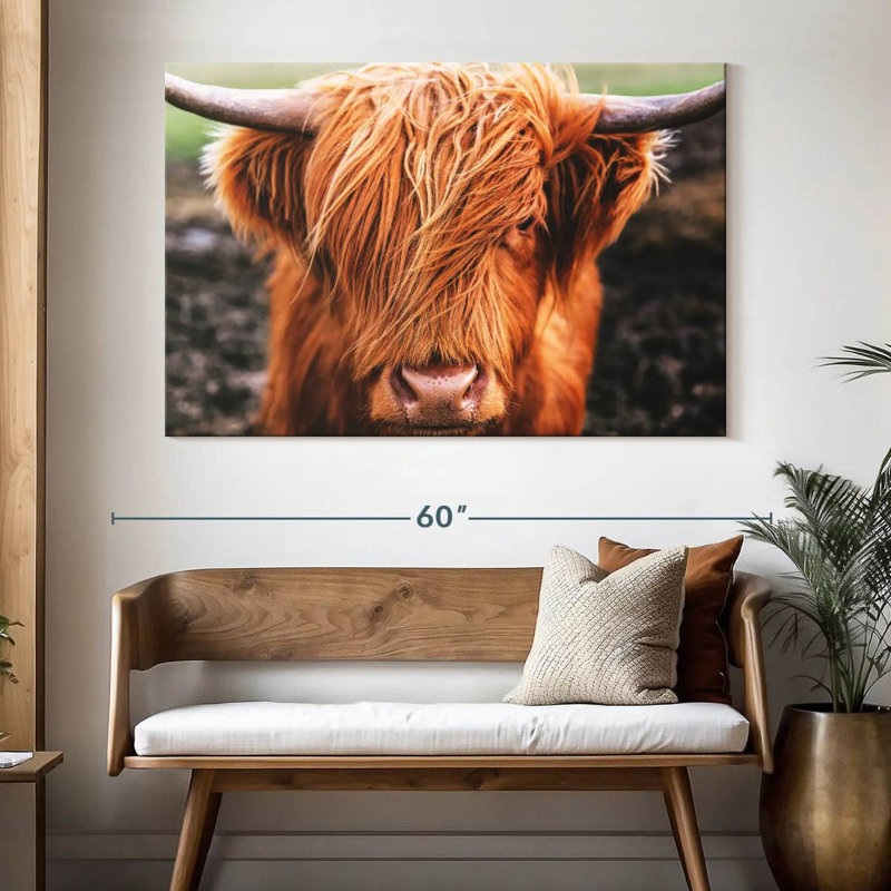 Frange Brampt Highland Cow, H 34 po x l 51 po