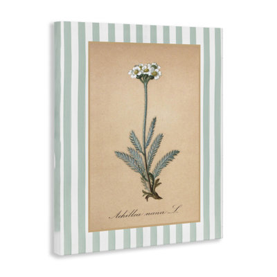 Wild Herb with Green Stripes Canvas, design by Lettered and Lined