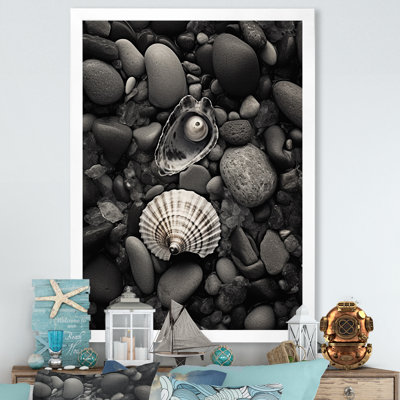" Monochrome Seashells & Stones "