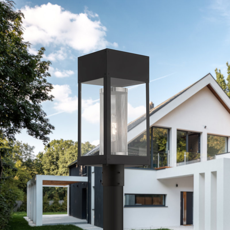 Araly Transparent Lantern Head