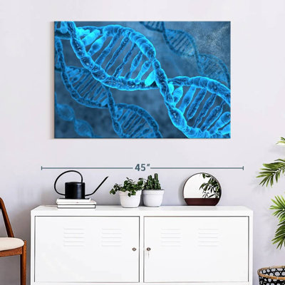 DNA Molecules