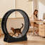141.5 cm H Cat Tree