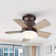 Tavontae 24'' Ceiling Fan with LED Lights