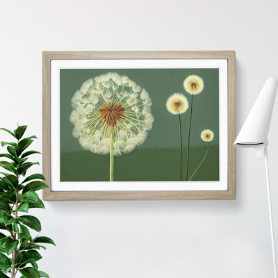 XH1022-7601X Sacred Dandelion Flowers - Single Picture Frame Painting