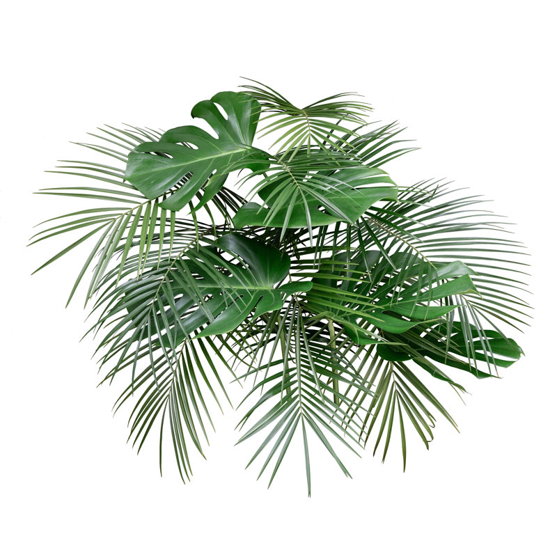 Monstera And Tropical Palm Leaves - Wrapped Canvas Print, 30cm H x 30cm W x 3.8cm D