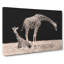 Two Giraffes - Wrapped Canvas-56644501