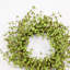 Mini couronne d'eucalyptus 22 po