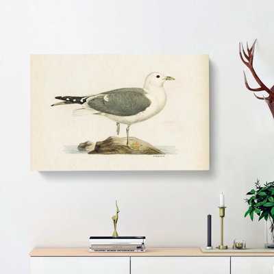 A Common Gull by Von Wright - Wrapped Canvas Painting