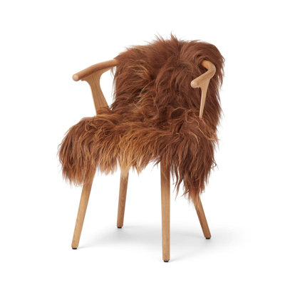 Novelty 70 cm x 100 cm Sheepskin Hand Woven Indoor / Outdoor Area Rug