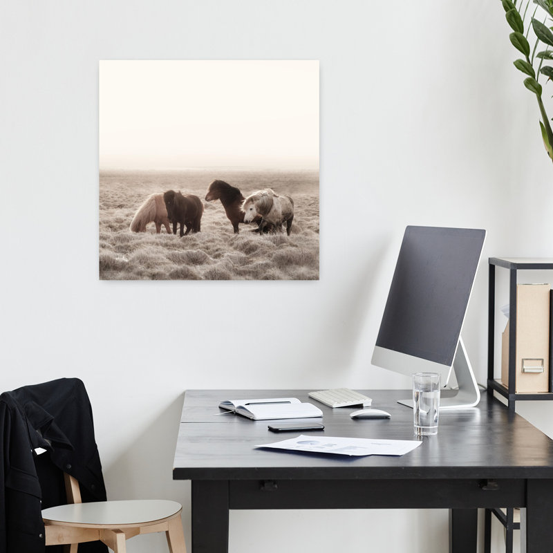 Islande, cheval sauvage crème, art mural contemporain, 18" H x 18" W