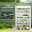Greenhouse
