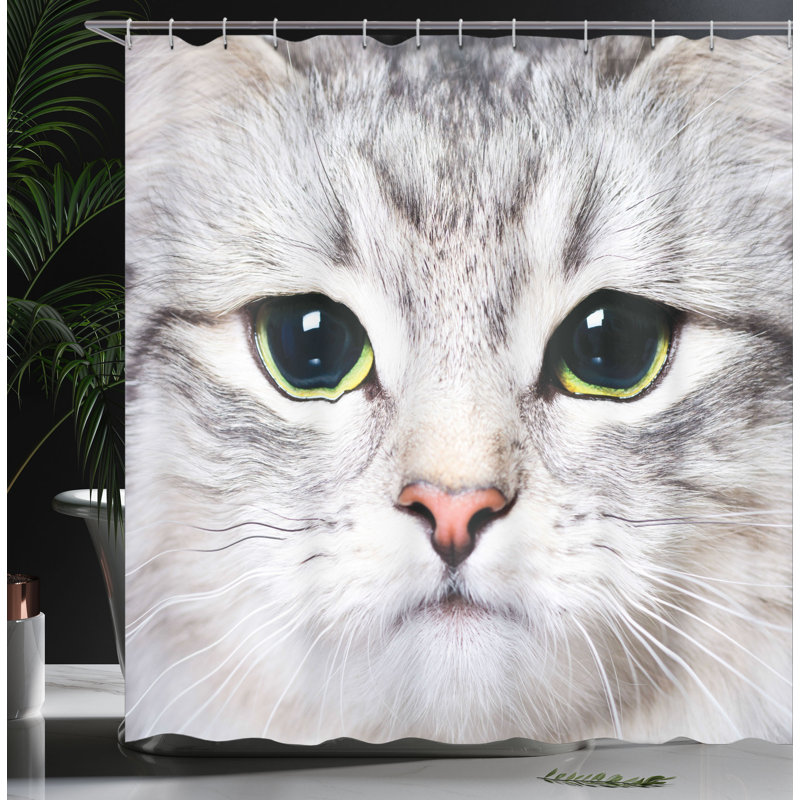 Shower Curtain with Hooks Included, 70" H x 69" W