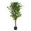 Ficus artificiel 63 "avec pot 63"