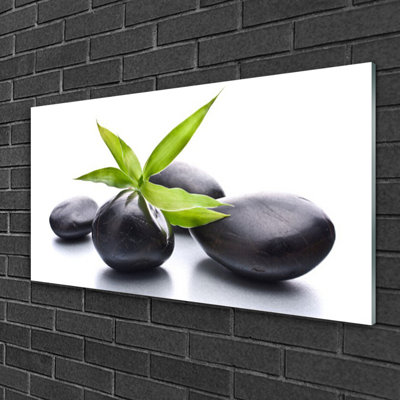 Stones Leaves - Unframed Photograph on Glass