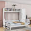 Lit escamotable Ajae avec bibliothèque de rangement, tiroirs et garde-robe-588590544-590699969