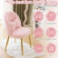 Winao 21.26'' W Make-Up Chair-1538459421