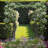 Iron Arched Trellis Garden Arbor