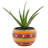 Colfax 9 in. Stripped Orange Talavera Baul Planter