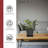 Saucer Plant Stand-582938038-582938030
